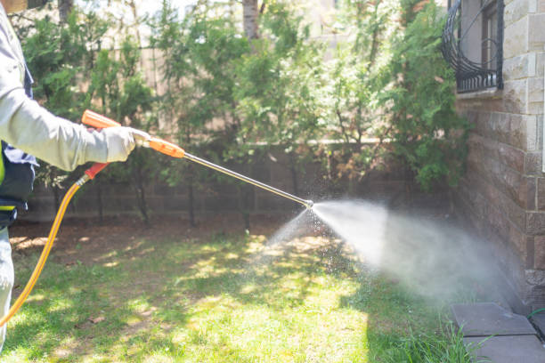 Best Seasonal Pest Control (e.g., summer mosquitoes, winter rodents)  in Bridgeville, DE